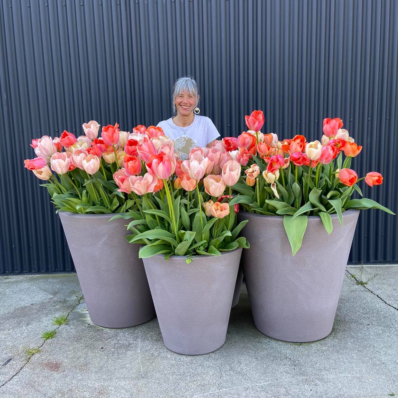 Christy Vollstedt standing behind colorful tulips
